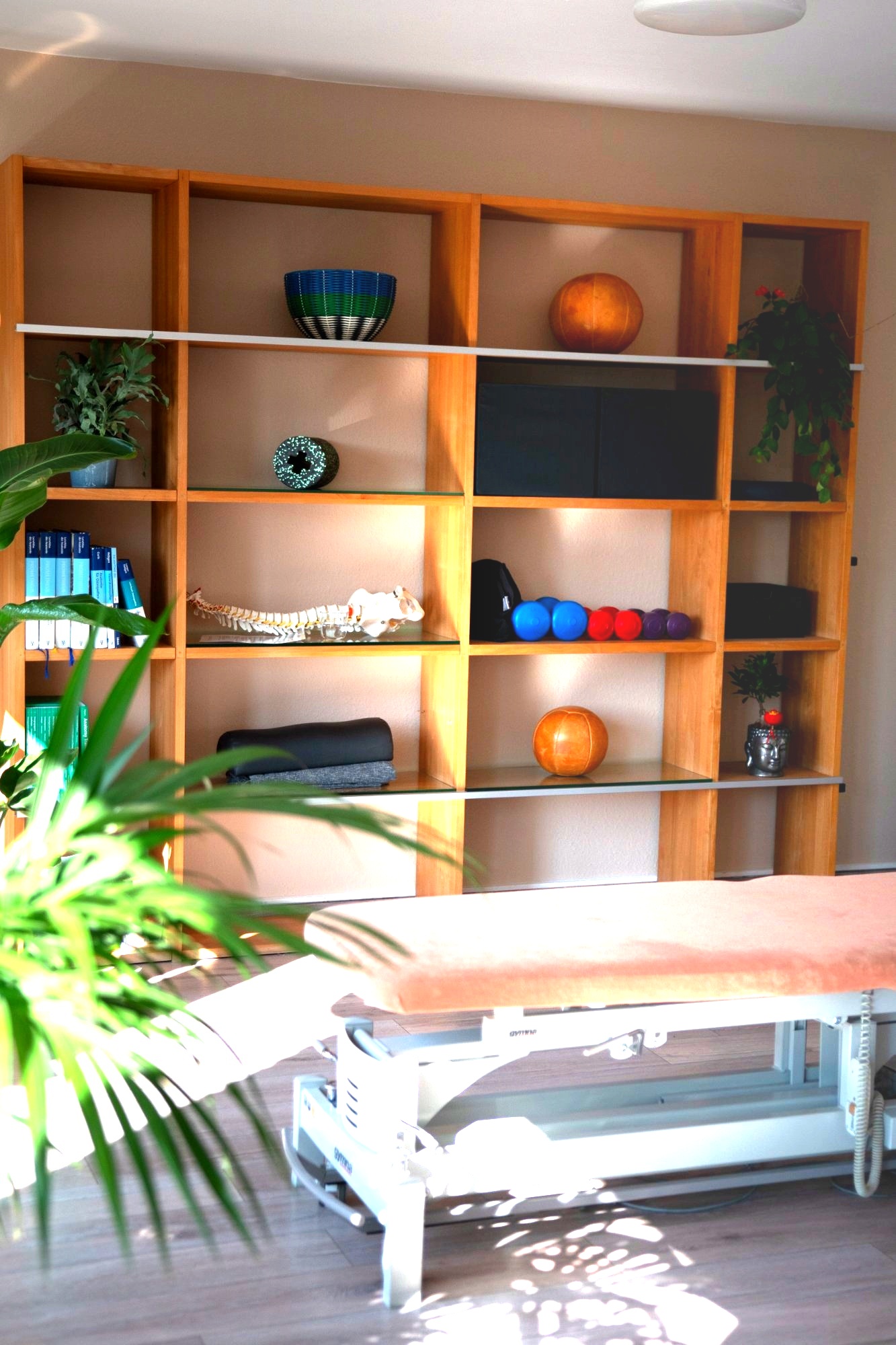 Praxisraum OsteoFlow Hürth